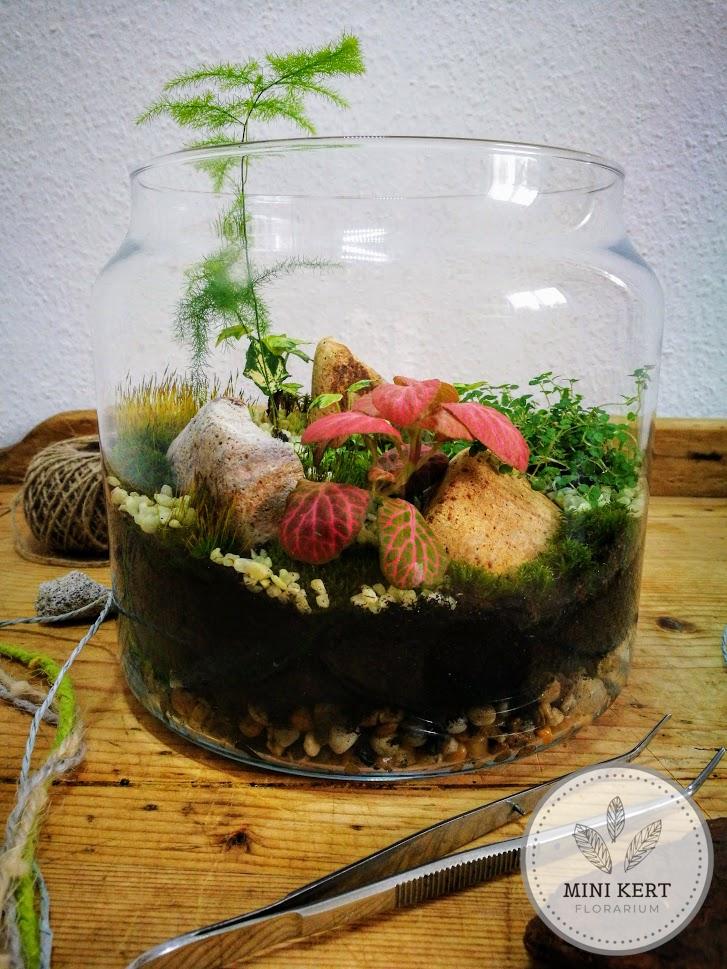 20 cm-es üvegedény florárium - Image 4