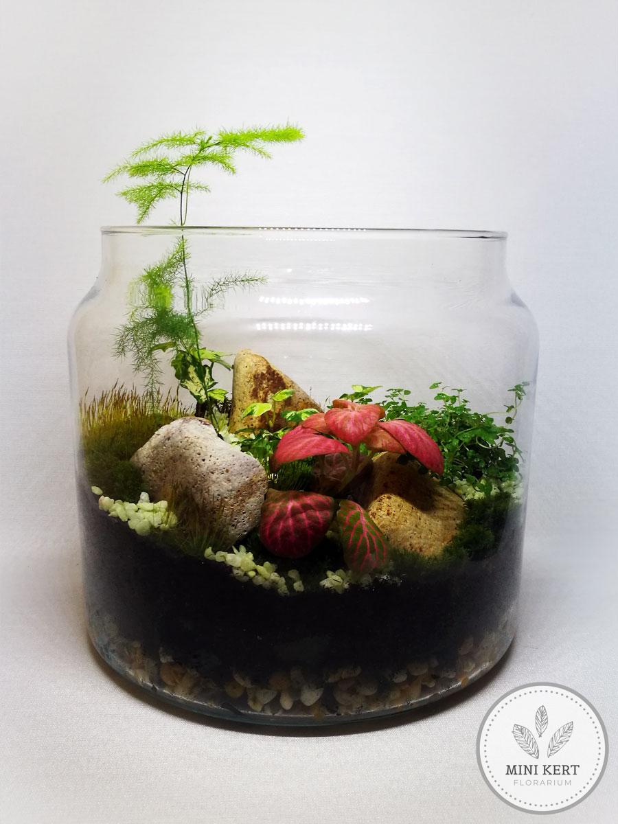 20 cm-es üvegedény florárium - Image 3
