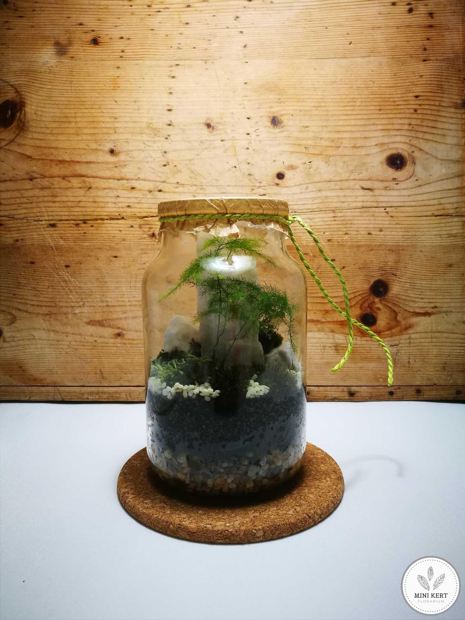 3,5 literes újrafelhasznált üveg florárium
