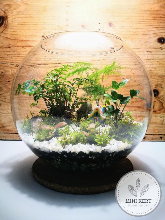 színes tündérházikó floráriumban