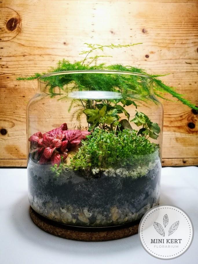 florárium minidzsungel