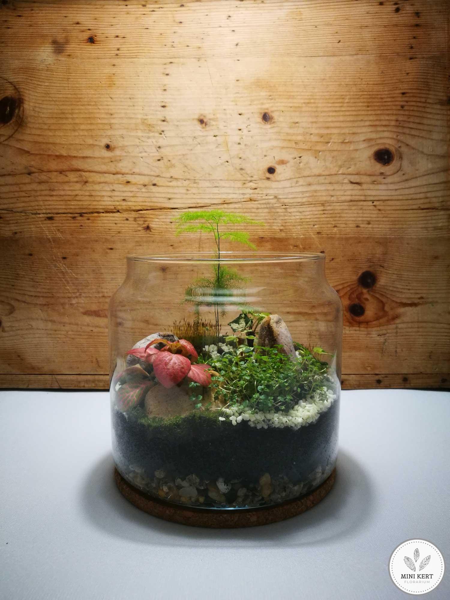 20 cm-es üvegedény florárium