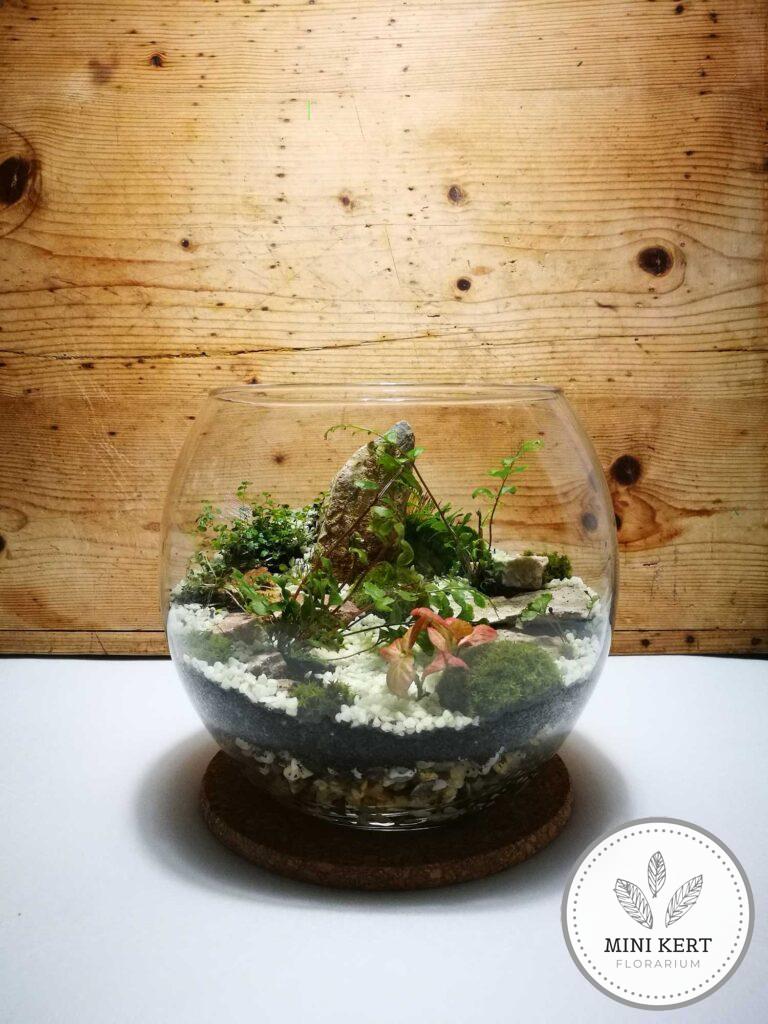 20 cm-es üveggömb florárium