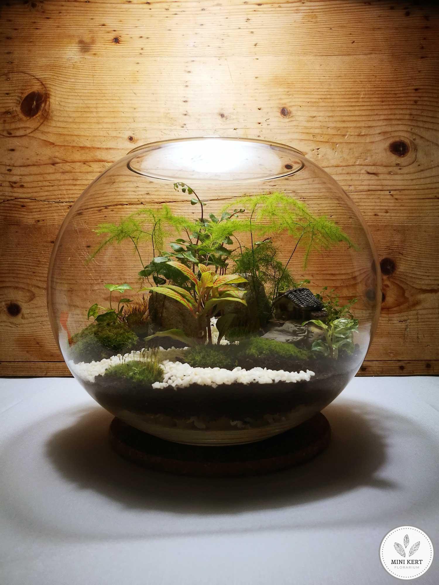 25 cm-es üveggömb florárium házikóval