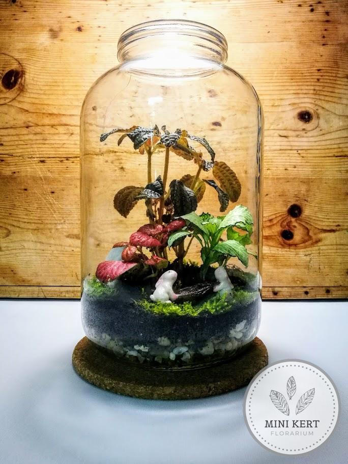 óriási újrafelhasznált üveg florárium