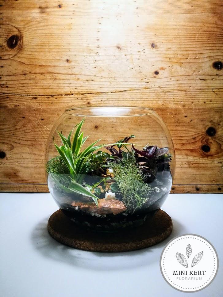 üveggömb florárium 19 cm-es