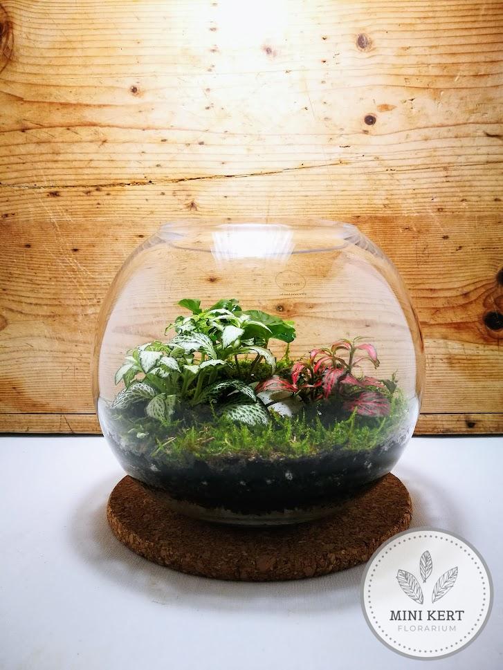 Üveggömb florárium 20 cm-es átmérő