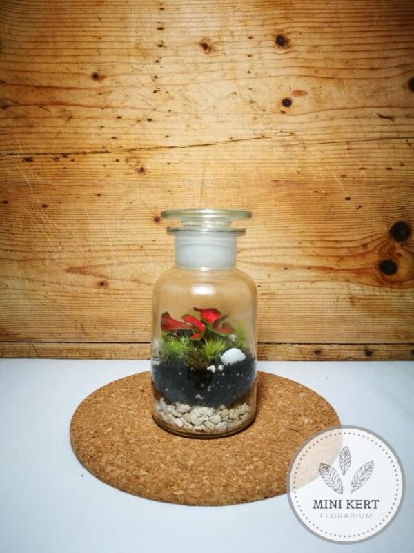 csiszolt dugós retro palack florárium 14 cm