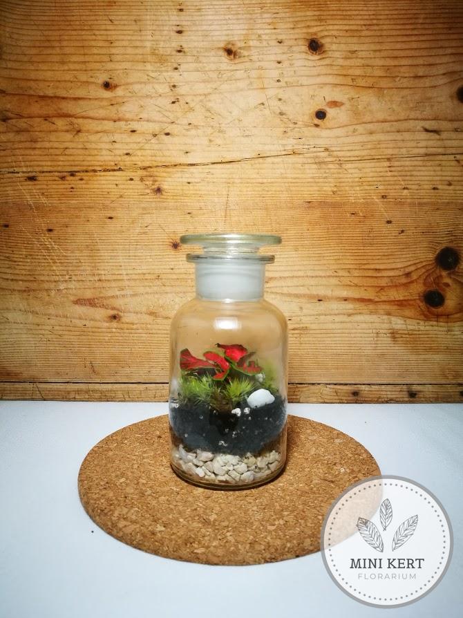 csiszolt dugós retro palack florárium 14 cm