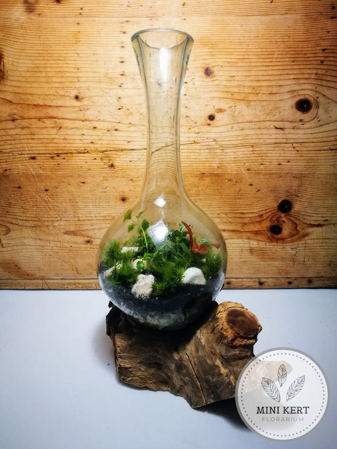 Kayu Arif váza florárium