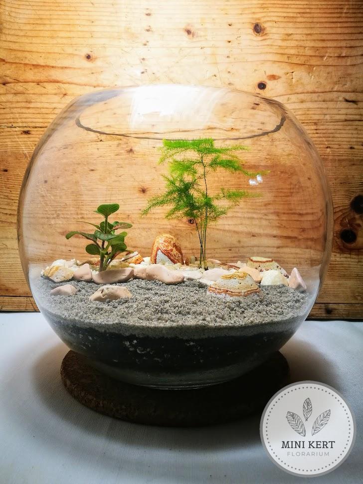 mini zen kert florárium homokkővel