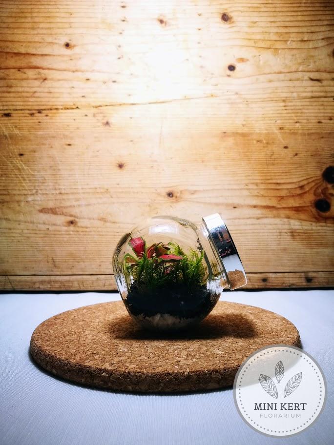 mini döntött üveges florárium