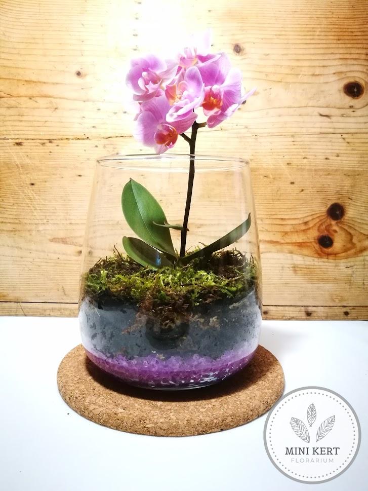 lila orchidea üvegtartályban