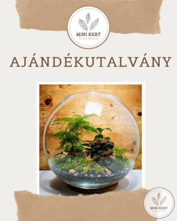 florárium ajándékutalvány