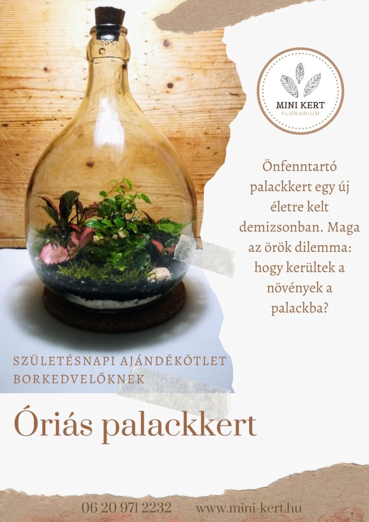 születésnapi ajándékötlet demizson palackkert