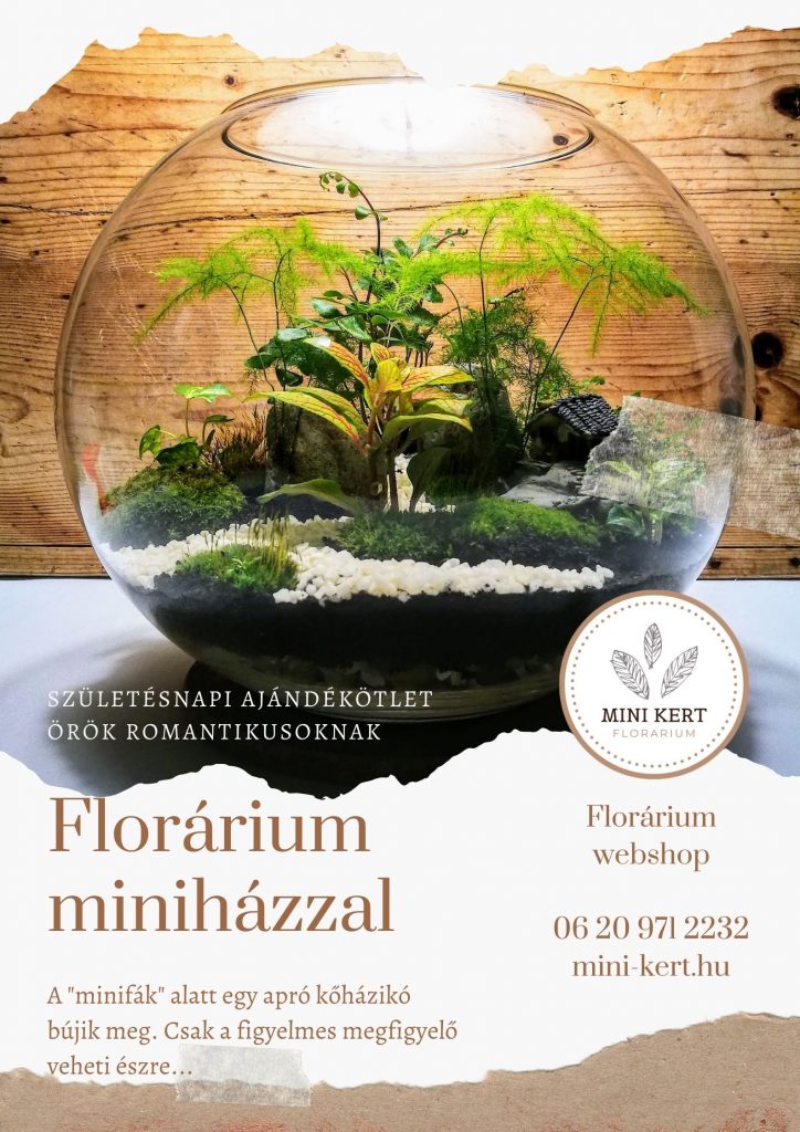 születésnapi ajándékötlet florárium manóházzal