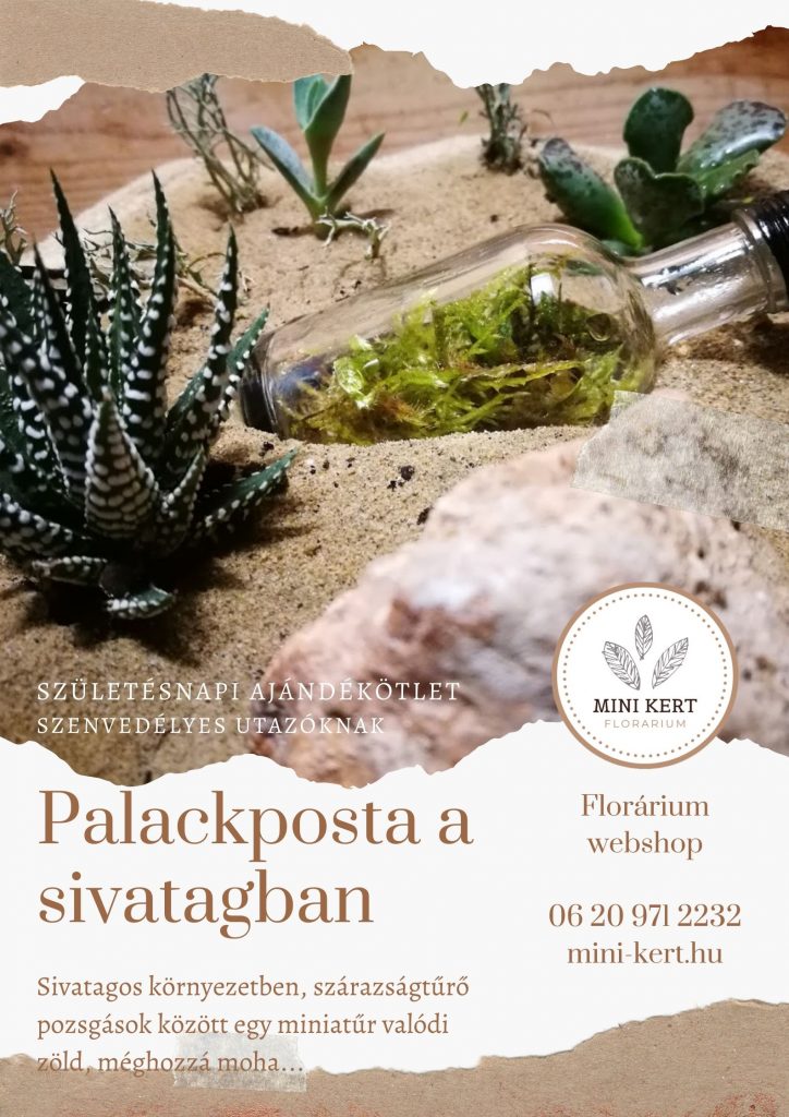 születésnapi ajándékötlet palackposta florárium