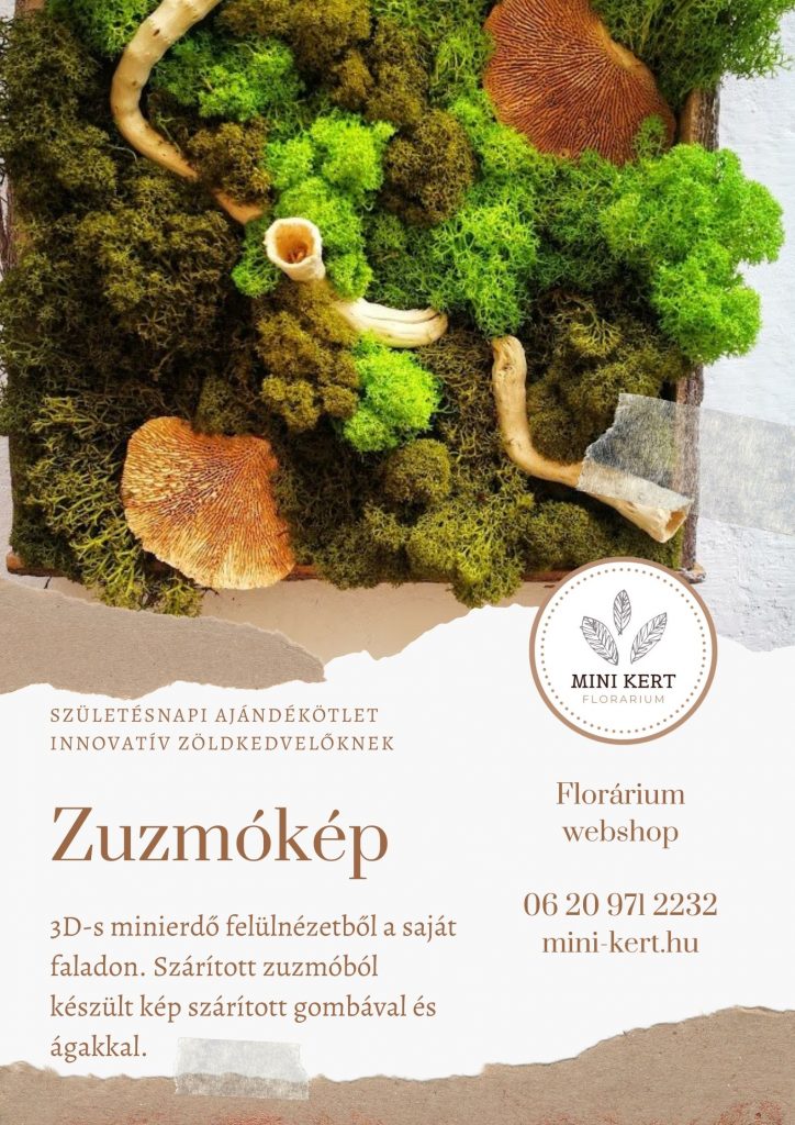 születésnapi ajándékötlet Zuzmókép