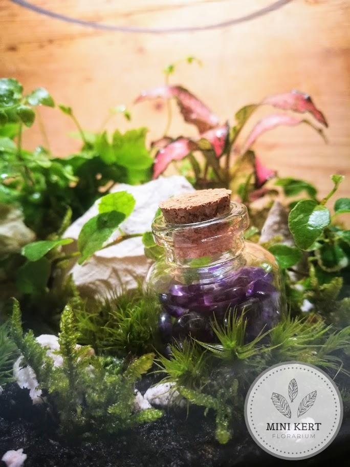 ametiszt floráriumban