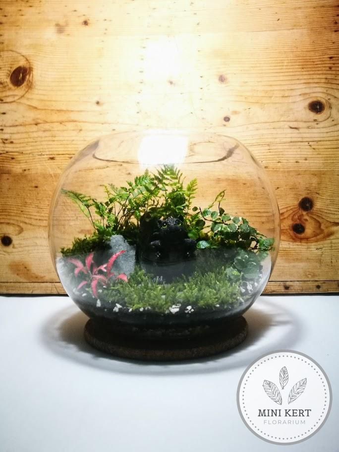üveggömb florárium 25 cm sárkánnyal