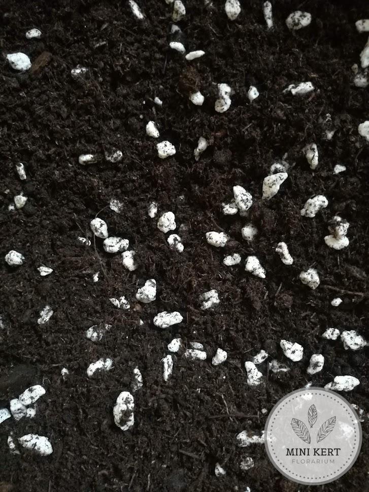 florárium földkeverék párakedvelő növényeknek