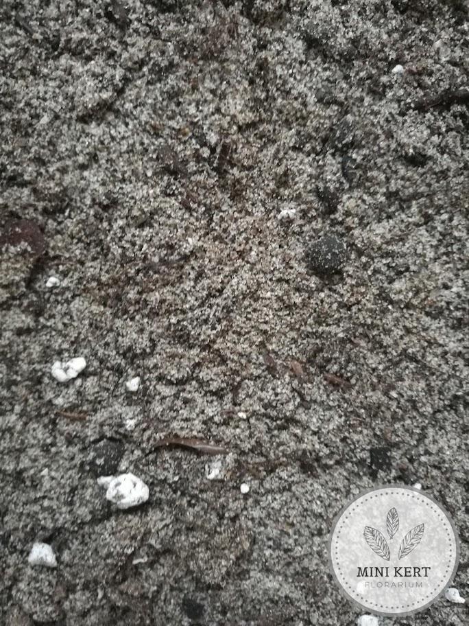 főldkeverék szukkulens növényeknek