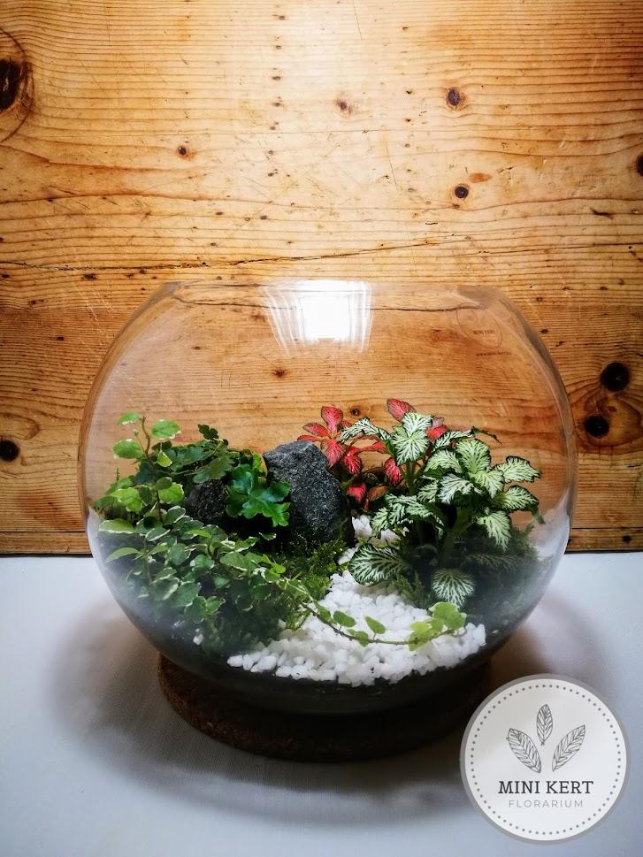 üveggömb florárium 25 cm ösvénnyel, sziklákkal