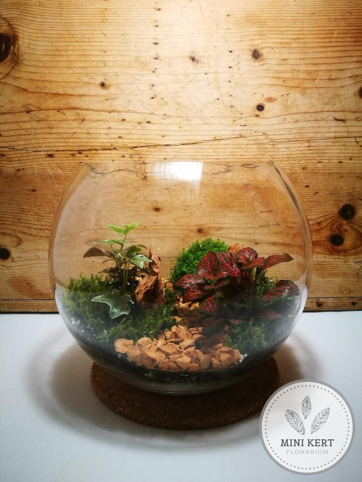 üveggömb florárium 25 cm terrakotta dekorkővel