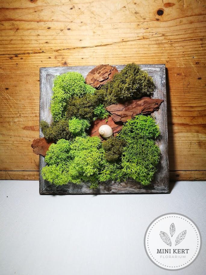Zuzmókép csigával és vörösfenyővel 20x20 cm - Image 2