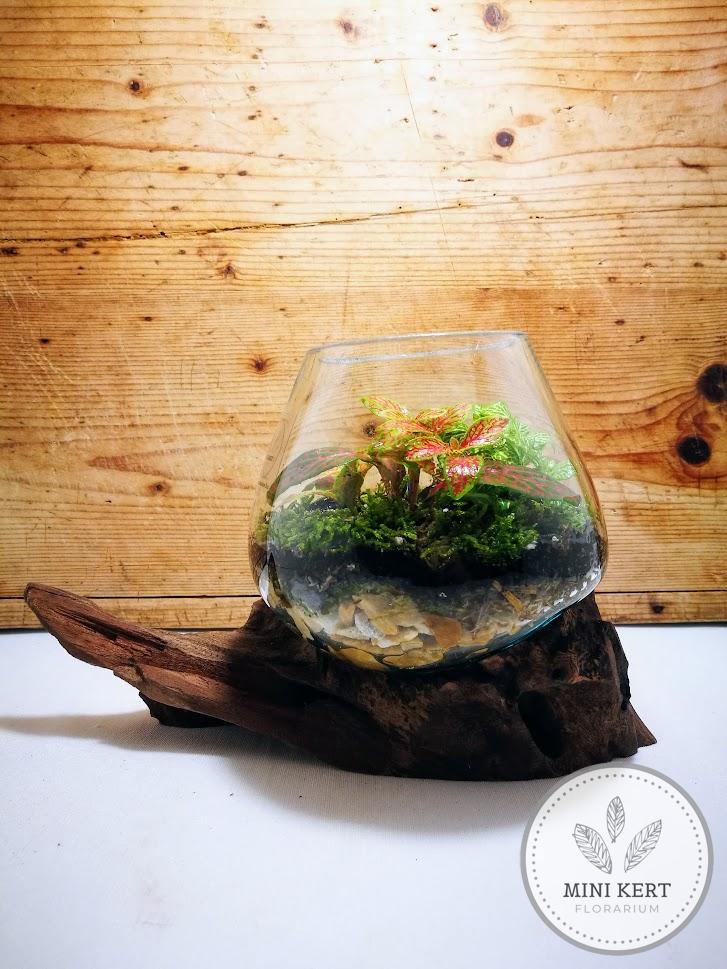 Kayu exkluzív kehely florárium - Axel