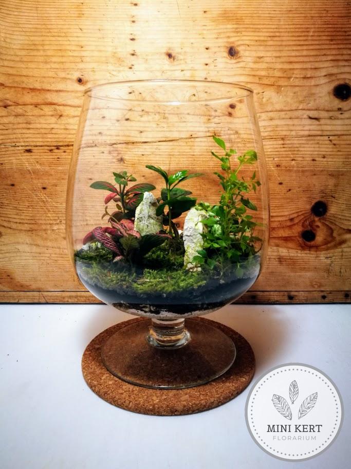 brandys kehely florárium