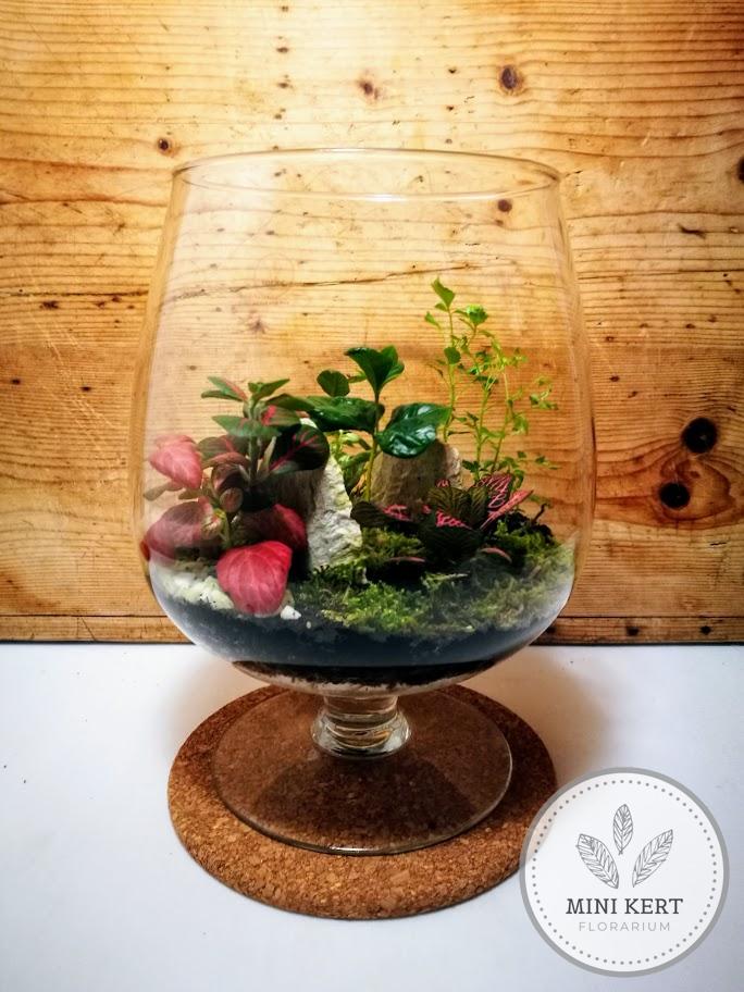 brandys kehely florárium
