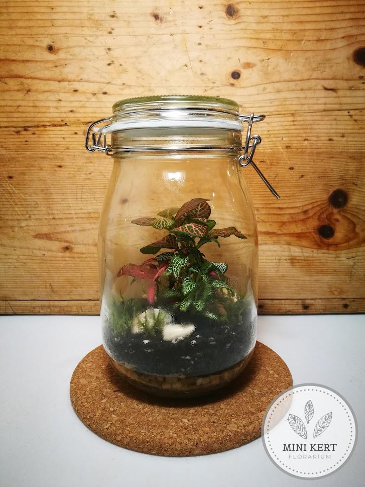Zárt csatosüveg florárium - Image 2