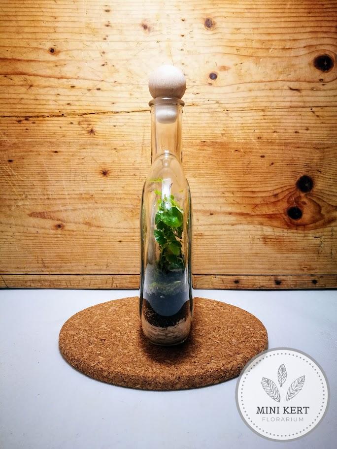 Exkluzív palackkert "Spirit" - Image 2