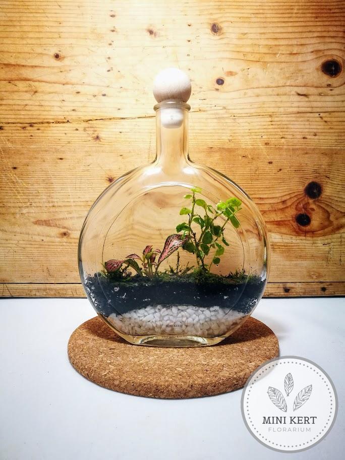 exkluzív palackkert Spirit