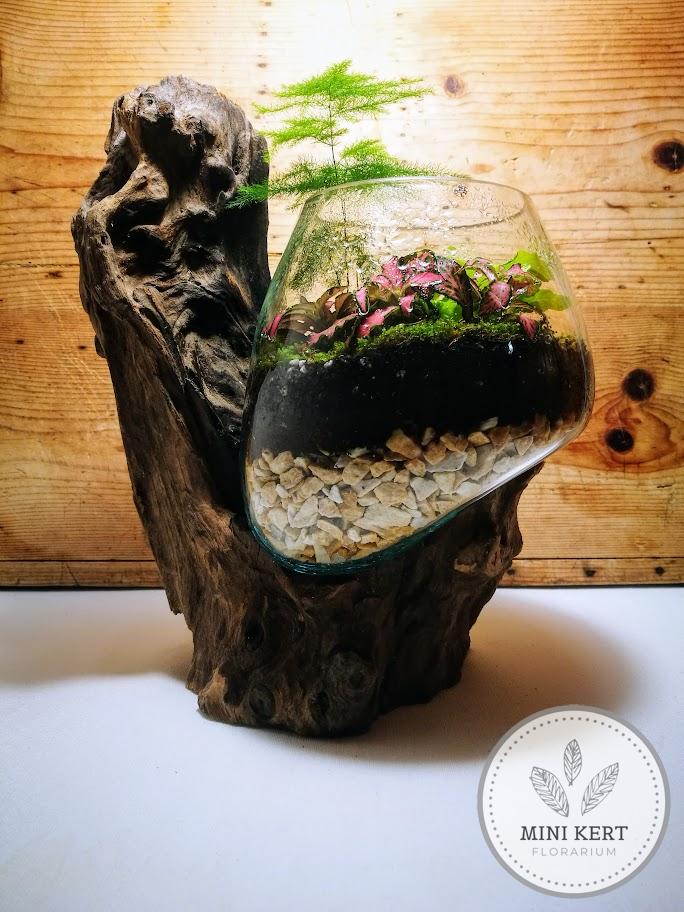 Kayu exkluzív mély florárium - Axel M