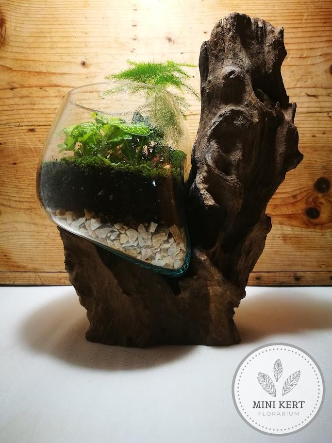 Kayu exkluzív mély florárium - Axel M - Image 4
