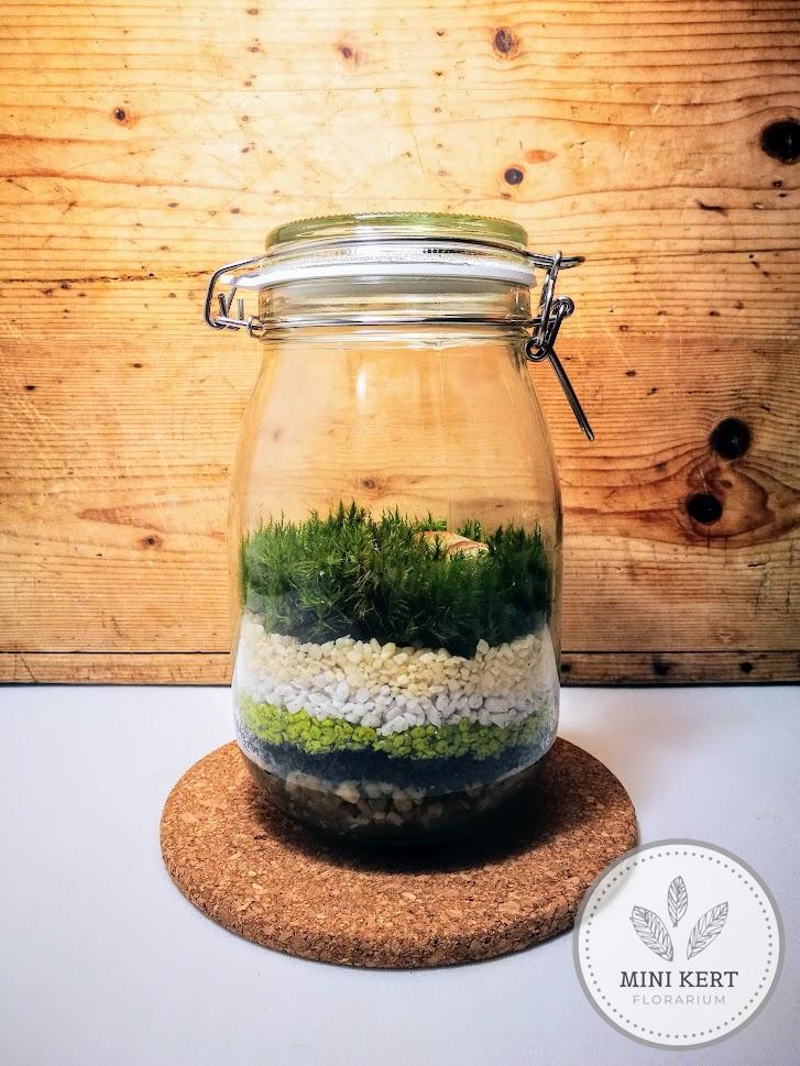 mohakert csatosüveg florárium
