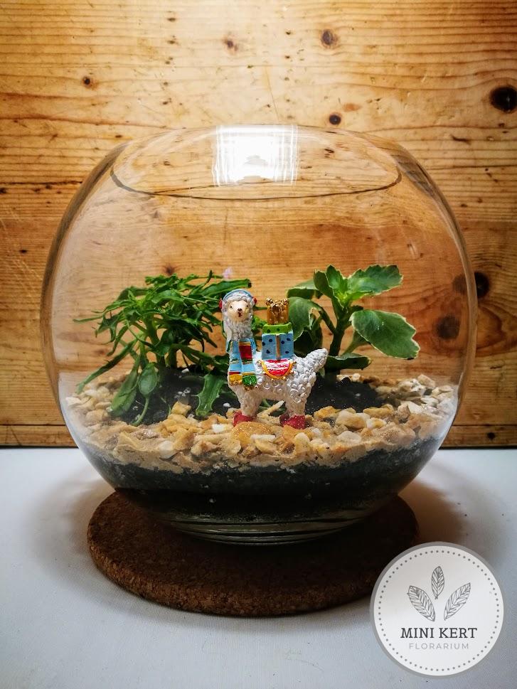 Üveggömb florárium 25cm "Láma Karácsonyfa növénnyel"