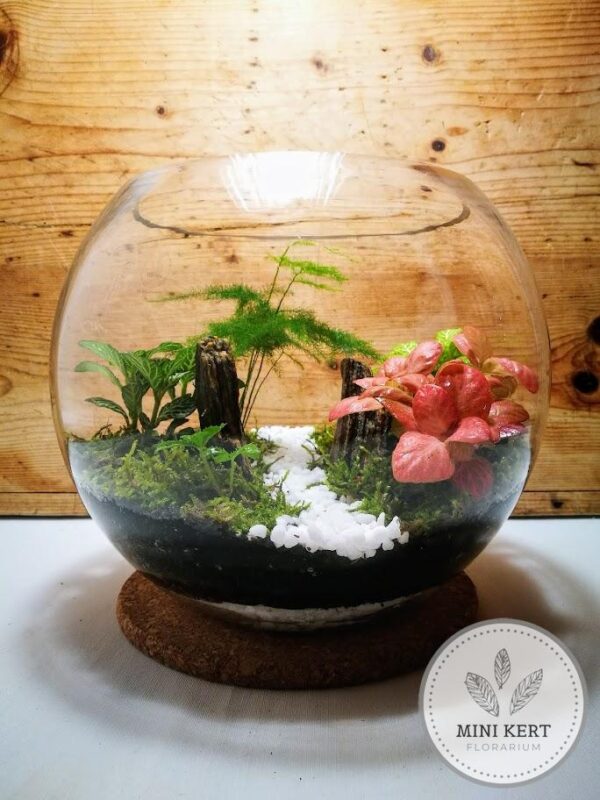 üveggömb florárium 25 cm Szurdok