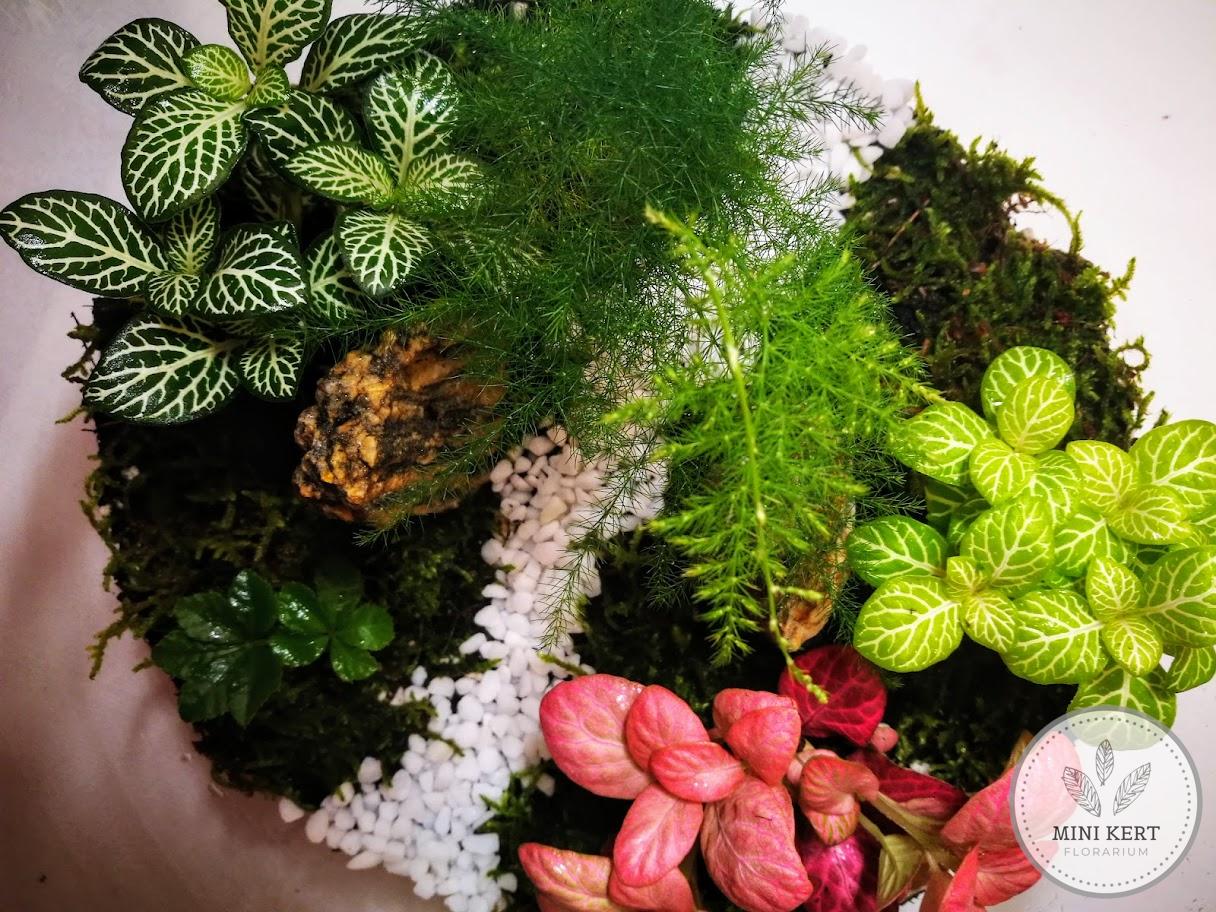 Üveggömb florárium 25cm "Szurdok" - Image 2