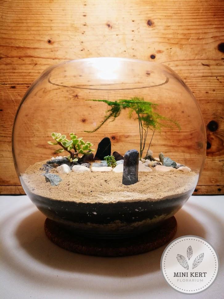 Üveggömb florárium 25cm "Zen kert" - Image 10