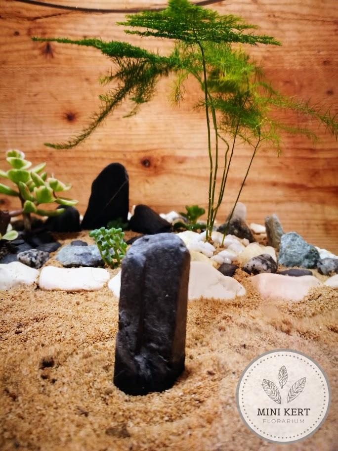Üveggömb florárium 25cm "Zen kert" - Image 11