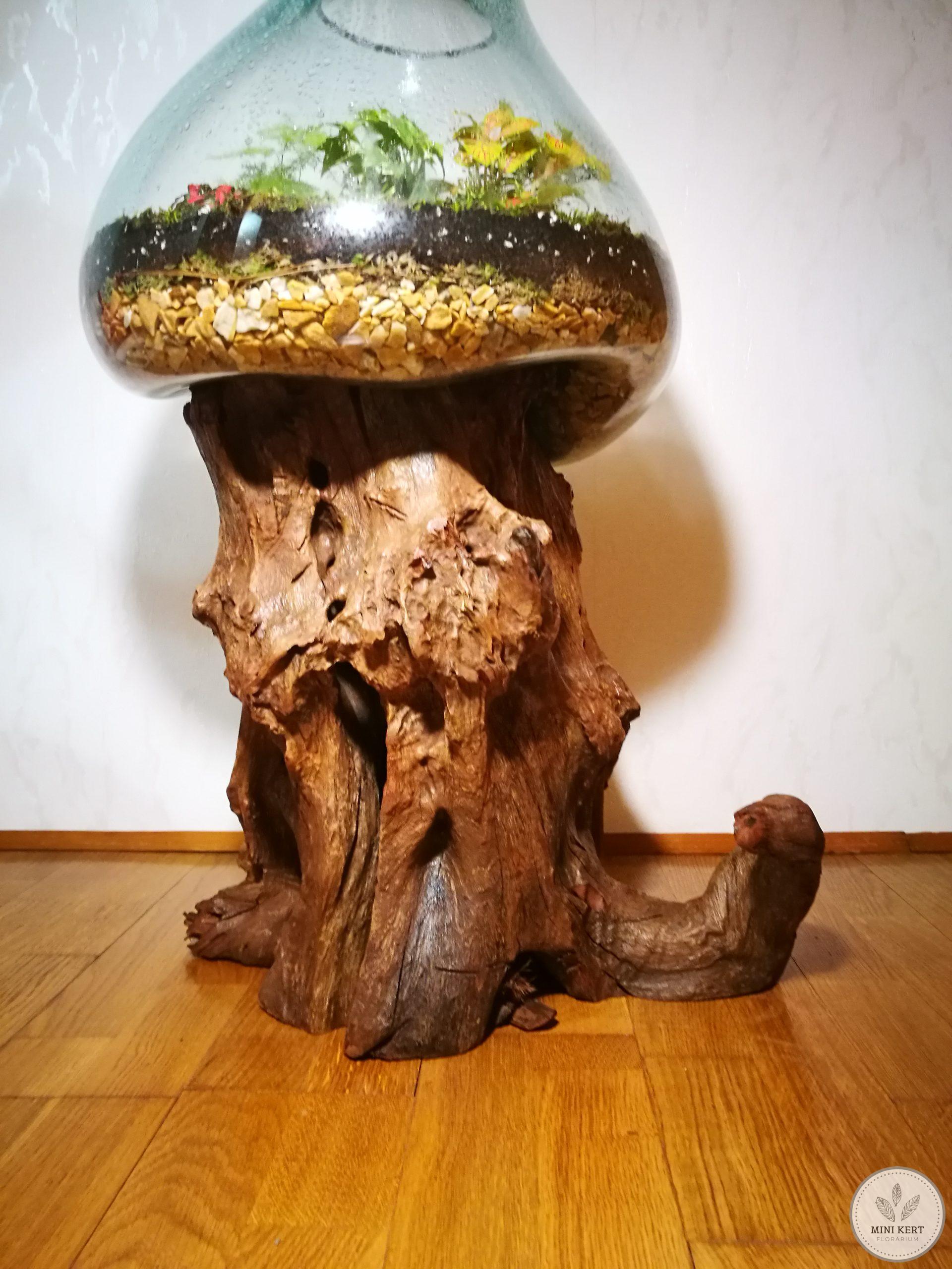 Kayu exkluzív óriás florárium - Anisa - Image 4