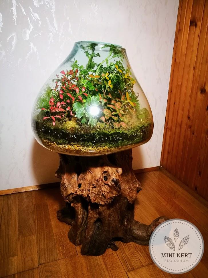 Kayu exkluzív óriás florárium - Anisa