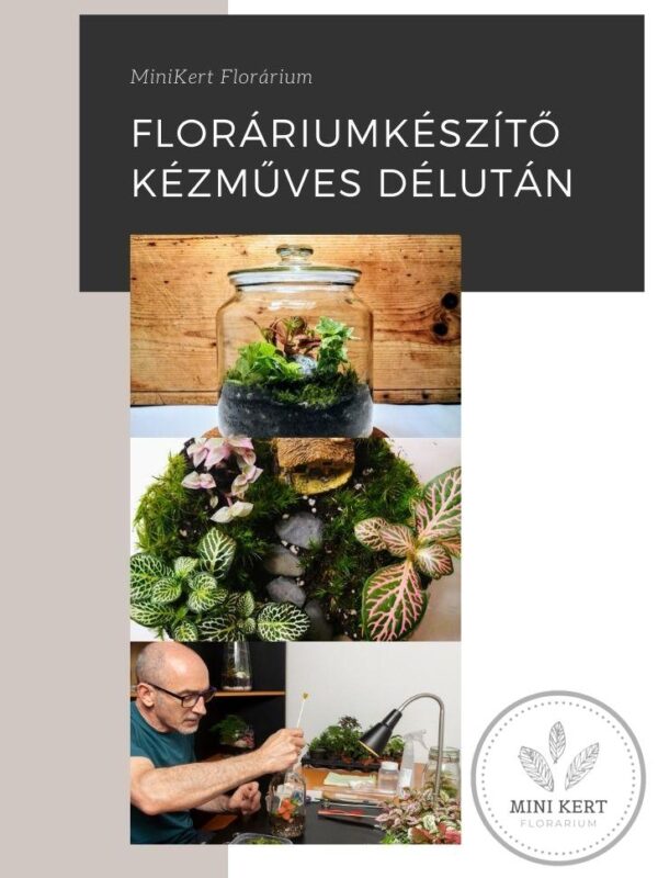 Egyéni florárium készítés workshop