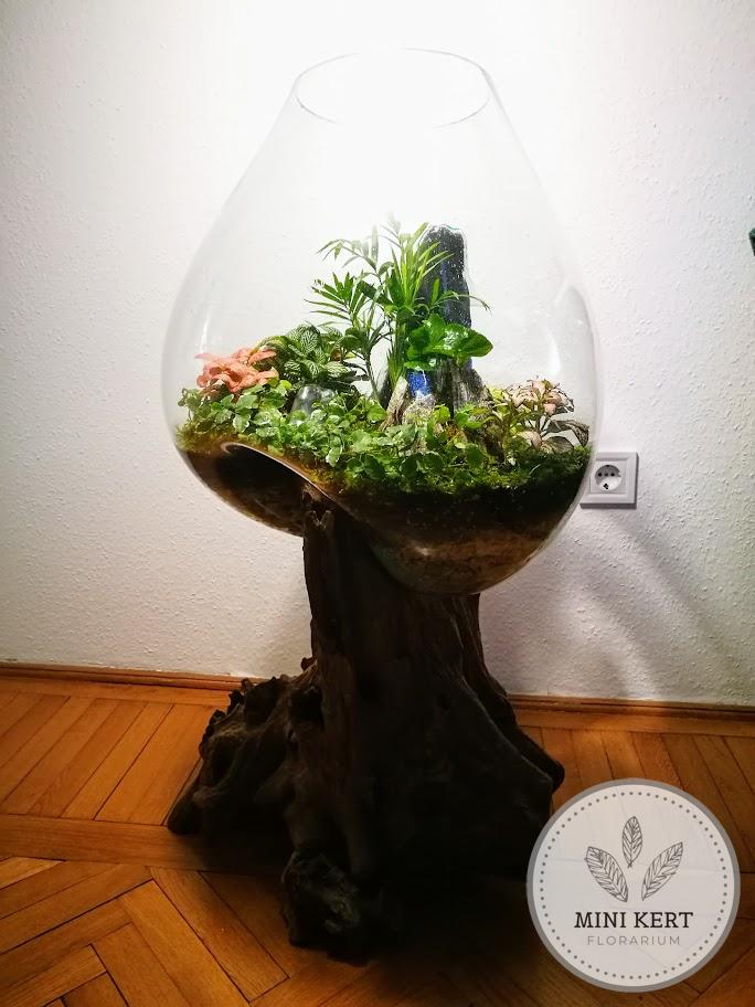 Kayu exkluzív óriás florárium - Anisa - Image 6
