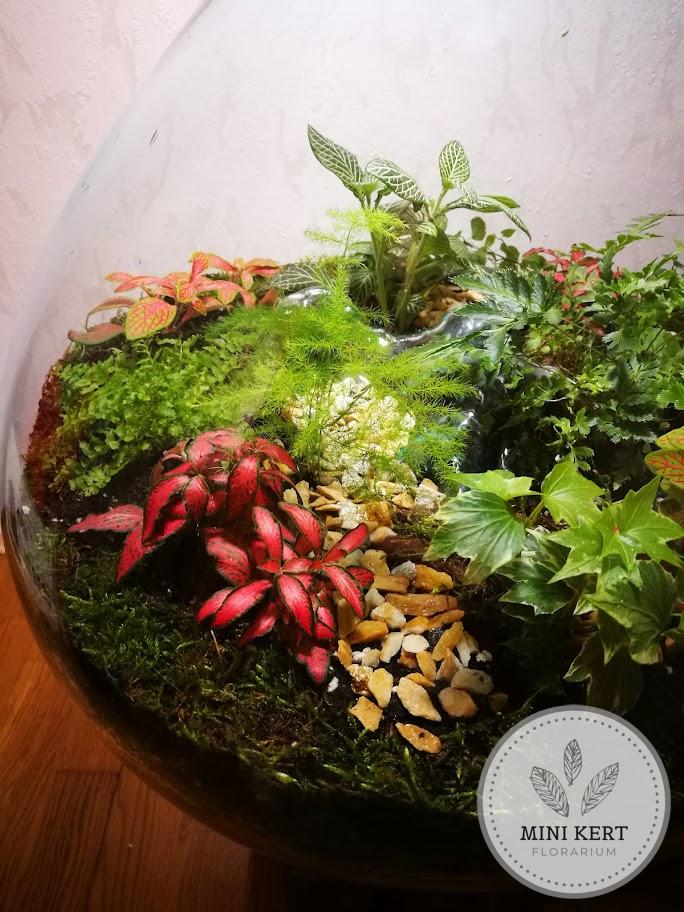 Kayu exkluzív óriás florárium - Anisa - Image 2