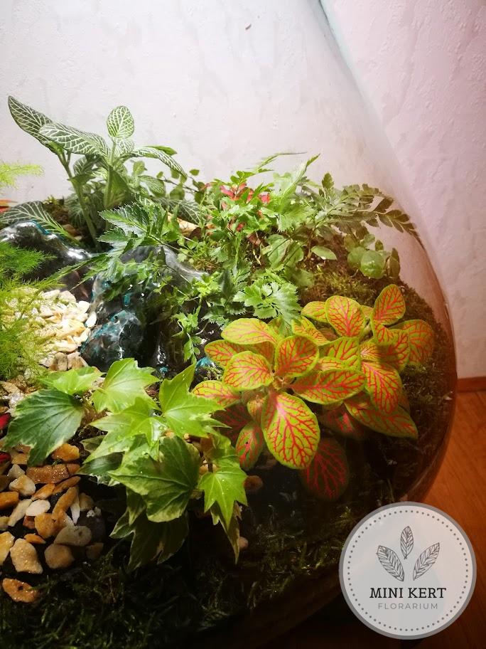 Kayu exkluzív óriás florárium - Anisa - Image 3