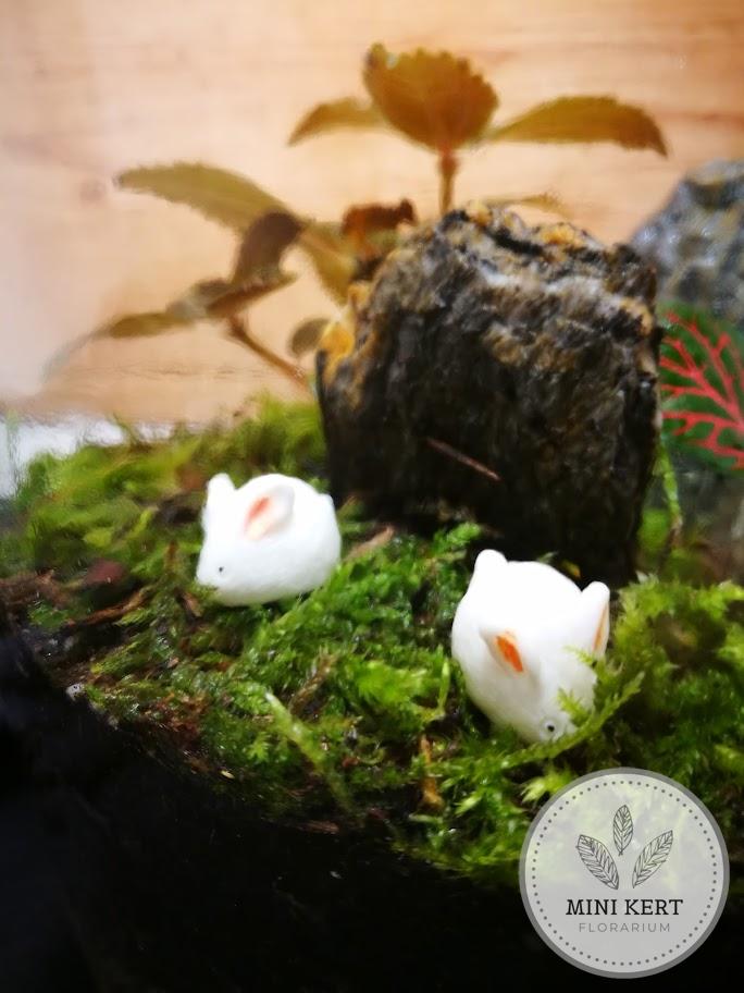 Nagy befőttesüveg florárium "Nyuszik az árokparton" - Image 3